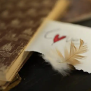 om-c-parkin-der-wert-des-buches-teaser