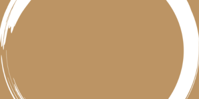 der-guru-der-grosse-unbekannte-coverbild