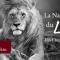 La-Naissance-du-Lion-OM-C-Parkin