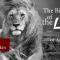 The-Birth-of-the-Lion-OM-C-Parkin